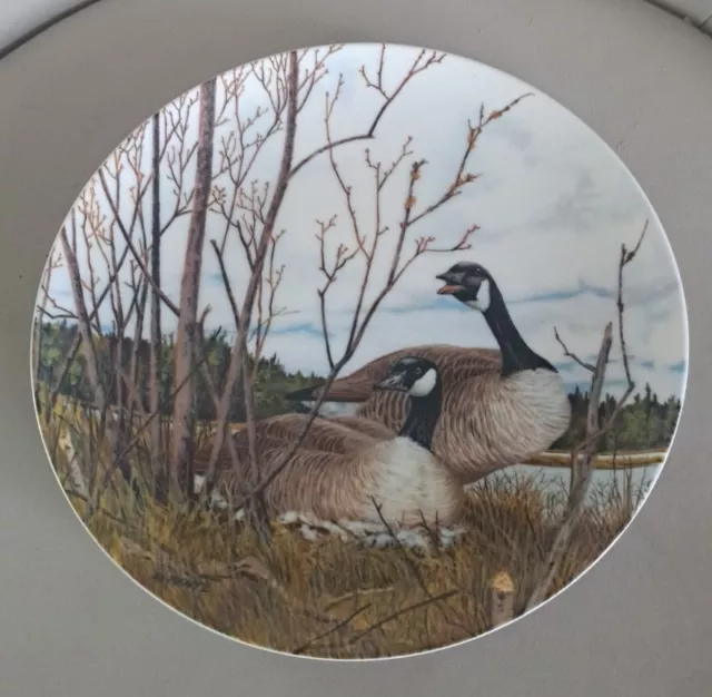 Vintage Collectors Plate 1986 Nesting Wings Upon The Wind Geese by Donald Pentz