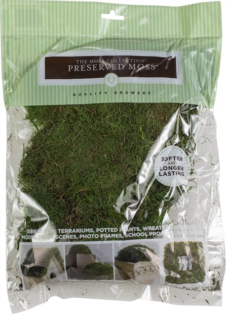 Hoja preservada de calidad cultivadores musgo 112,5 pulgadas cúbicas