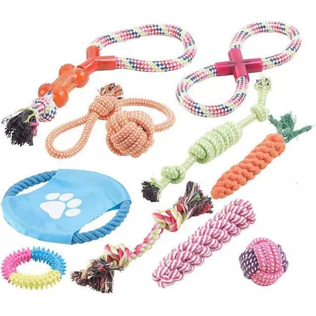 Lot de10 jouets pour chiens : à mâcher et lancer