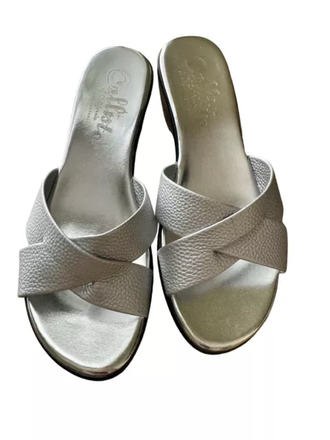 Athena Alexander Callisto Silver Platform Wedge Sandals Women’s Size 10 Shoe