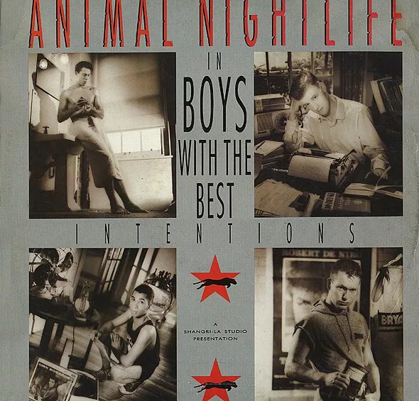 Animal Nightlife - Boys With The Best Intentions - Used Vinyl Record  - K5783z