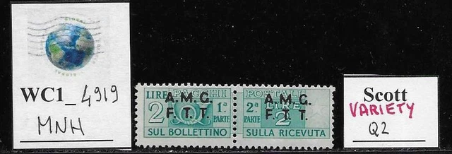 WC1_4919. TRIESTE FTT. Variety of 2 L. 1947-48 parcel post stamp. Scott Q3. MNH