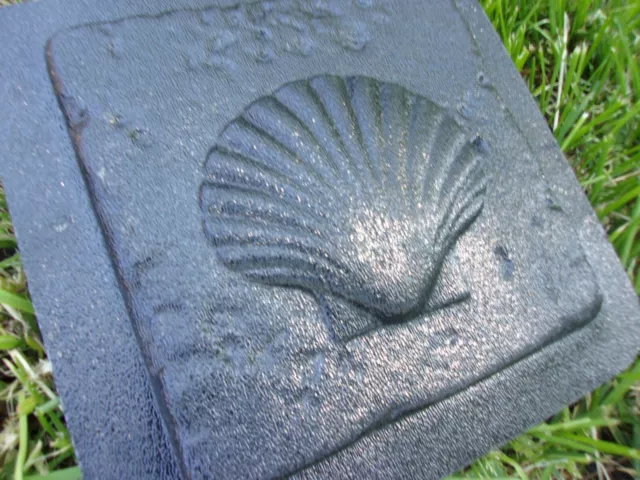 Sea shell tile plastic mold plaster cement resin mould 6" x 6" x 1/3" thick