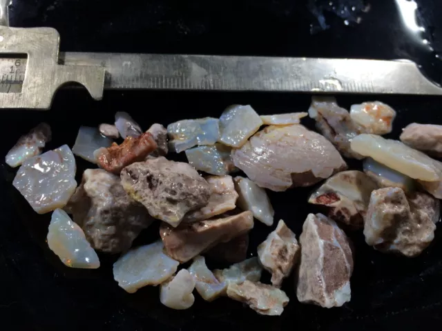 Coober Pedy Opal Rough, fossil pieces / some color 181.5cts. (36.3gms)