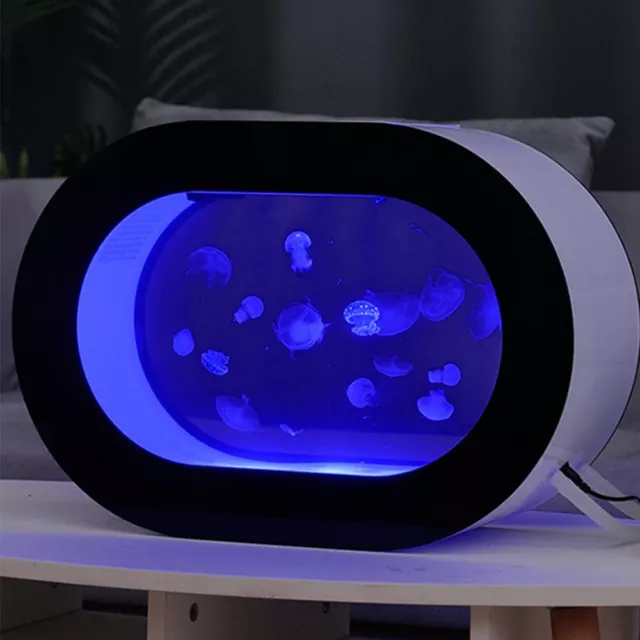 Oval Desktop Jellyfish Aquarium Tank Kit for Real Live Jellyfish Fish Tank