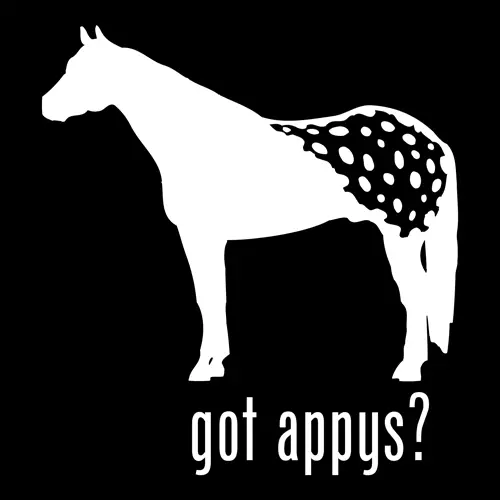 Got Appys? Appaloosa Horse Appy Decal - Horses Sticker