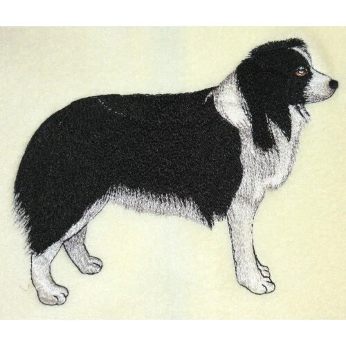 Embroidered Ladies Jacket - Border Collie AD204 Sizes S - XXL