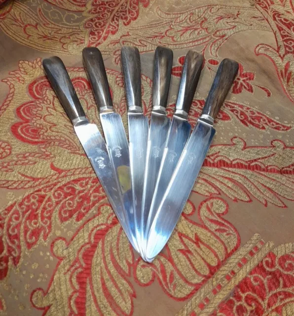 Couteau de table monocoque inox, manche décor coquille, kit
