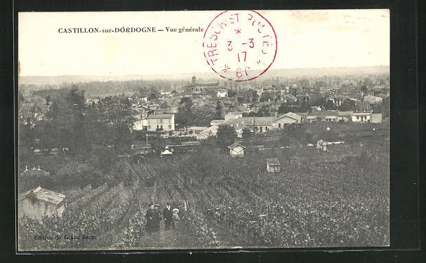 CPA Castillon-sur-Dordogne, General View 1917