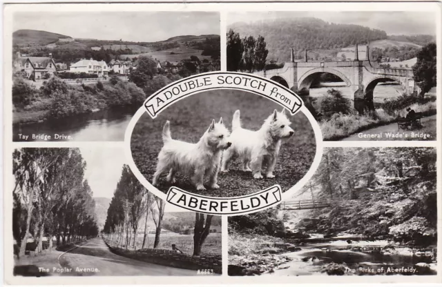 Double Scotch Scotty Dog Multiview, ABERFELDY, Perthshire RP