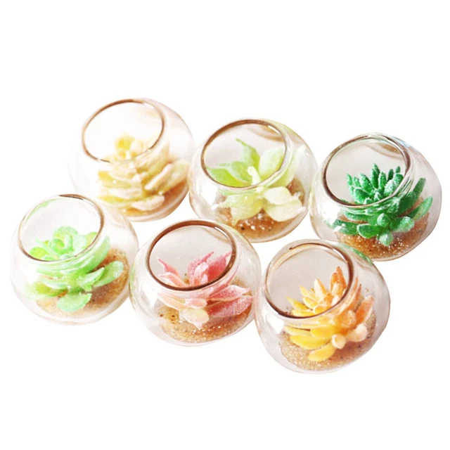 6 Pcs Glass Terrarium Ornament Succulent Terrarium Decor Accessories