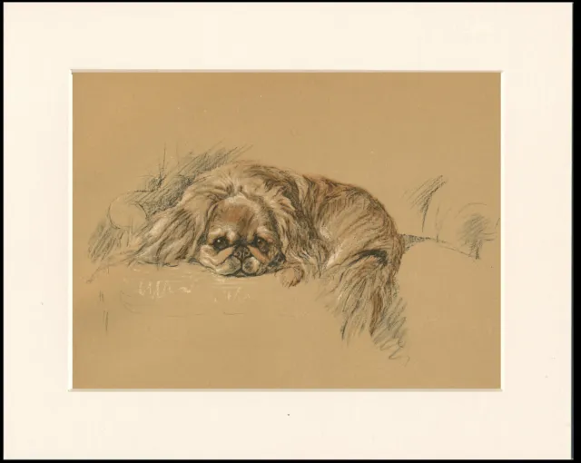 PEKINGESE LOVELY ORIGINAL OLD 1937 MOUNTED DOG ART PRINT by LUCY DAWSON MAC