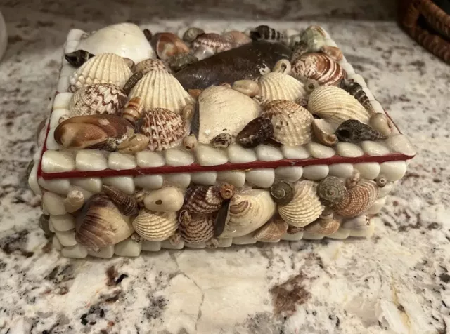 Vintage Sea Shell Art Box Sailors Trinket Beach Maritime Folk Valentine