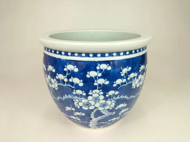 Antique  19th/early 20th century Chinese prunus planter   Qing Dynasty