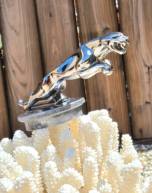 Jaguar Cat Vintage Silver Metal Automobile Car Hood Radiator Ornament Emblem Jaguar Cat Vintage Silver Metal Automobile Car Hood Radiator Ornament Emblem