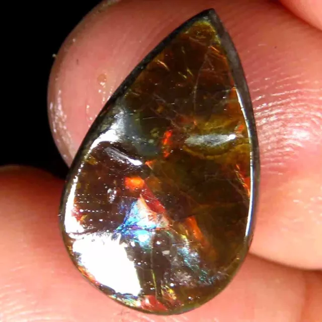 6.75Cts.100%Natural Multi Fire Ammolite Pear Cabochon 11x17x4mm Losse Gemstone