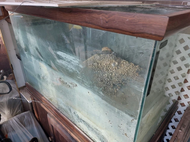 90 gallon aquarium fish tank and wood stand