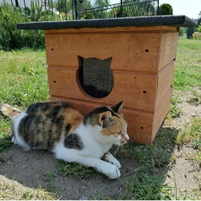 Maison à Chat 40x40 CM Cabane de Grotte pour Extérieur Hiver Isolé Bois 8580 2