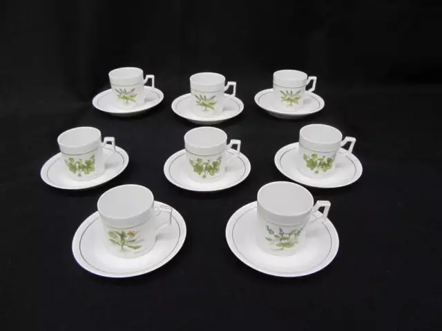 16pc Vintage Furstenberg Porcelain BOTANICAL Flat Demitasse Cup & Saucer Set 2
