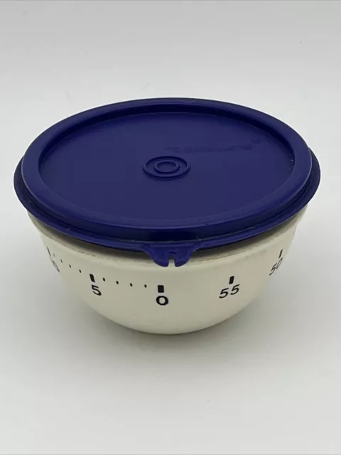 Vintage Tupperware Kitchen Timer, Blue White Kitchen Gadget MCM