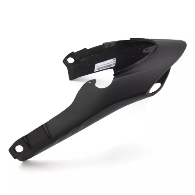 Carbon Heckverkleidung für Triumph Speed Triple / R 2011-2015