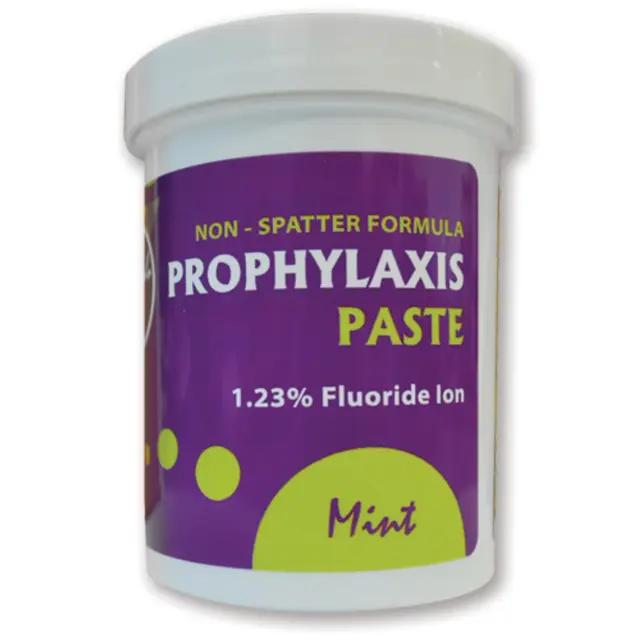 House Brand 24-04077 Prophy Paste Mint Coarse Grit 1.23% APF 12Oz Jar EXPFeb2024