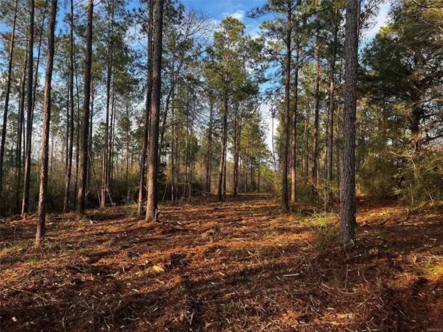 Land For Sale Fairfield Bay Arkansas 14374.8 Square Feet Of Buildable Land!