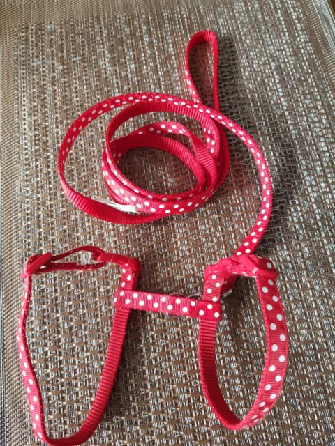 Small Pet Harness For Guinea Pigs & Rabbits