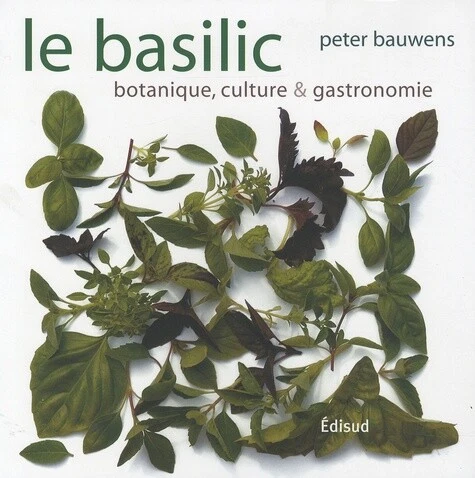 Le basilic: Botanique, culture &amp; gastronomie