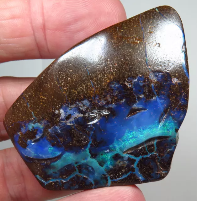 Australian Boulder Opal 376ct Natural Queensland Stone/ Specimen