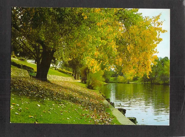 C8320 Australia SA Adelaide River Torrens Trueview postcard