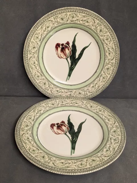 2 x Applebee collection breakfast plates. Royal Horticultural Society . Tulip.