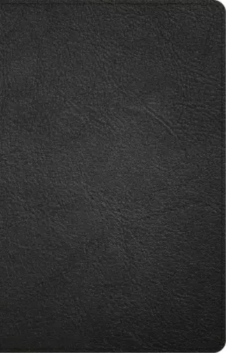 NASB Large Print Thinline Bible, Black Premium Goatskin (de piel falsa)