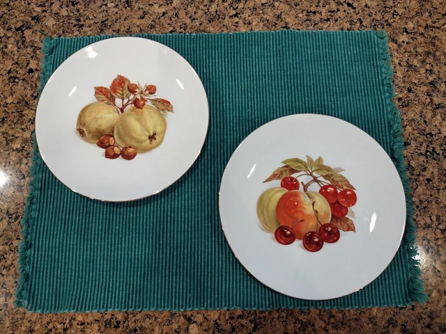 Bareuther Waldsassen Bavaria Germany 7-1/2 in. Decorative Plates Set Of 2
