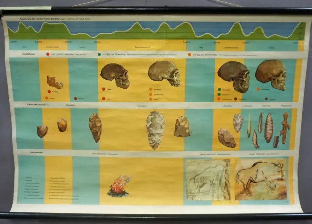 Die Altsteinzeit Schulwandkarte Rollbild Antropologie Lehrtafel Poster