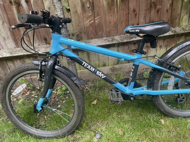 team sky frog bike 52