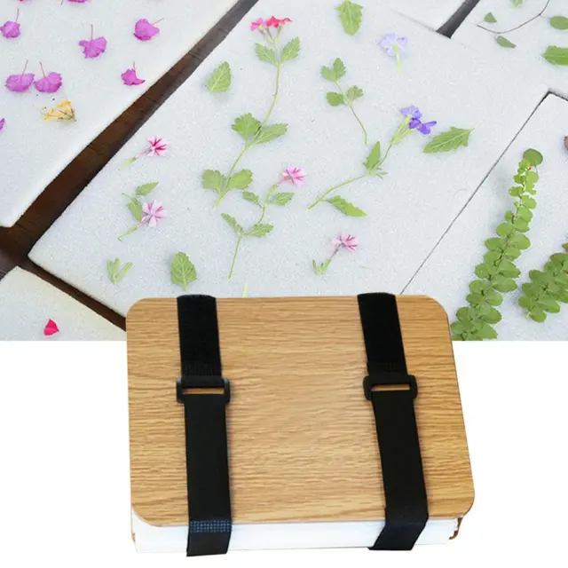Wooden Flower Press Kit For Kids, Plant Specimen Pressing For Beginne HOT D9Y9