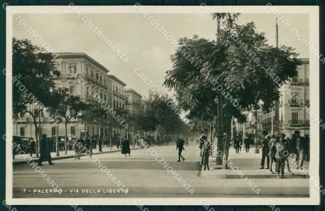 Palermo Città Viale della Libertà Foto cartolina RB9720