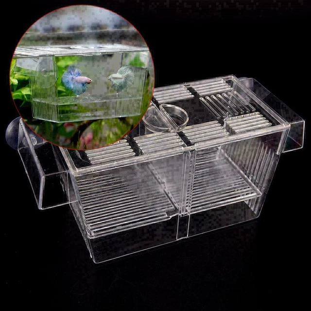 Aquarium Fish Tank Guppy Double Breeding Breeder, Der X6K0 7Y9I Clear U2G2 A9E7 7