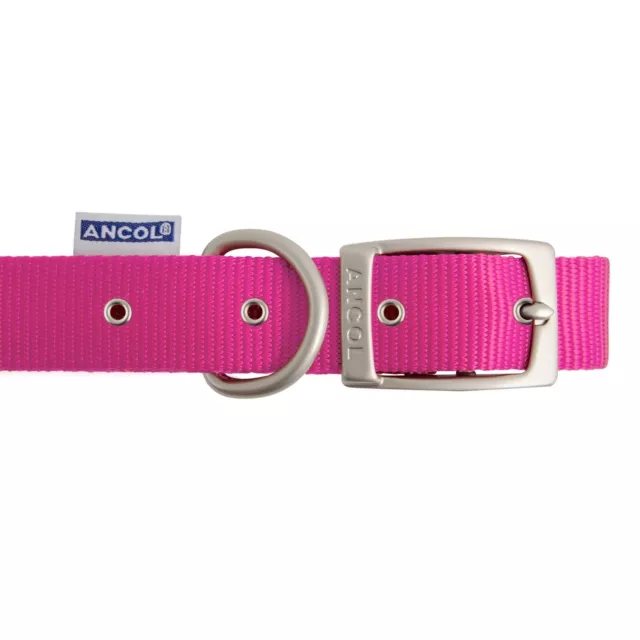 Ancol Heritage Collier en Nylon pour Chien Petit Framboise