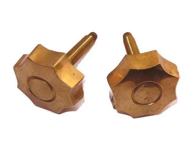 Fits Royal Enfield Bullet Side Tool Box Flower Bolt Set Brass Golden GEc