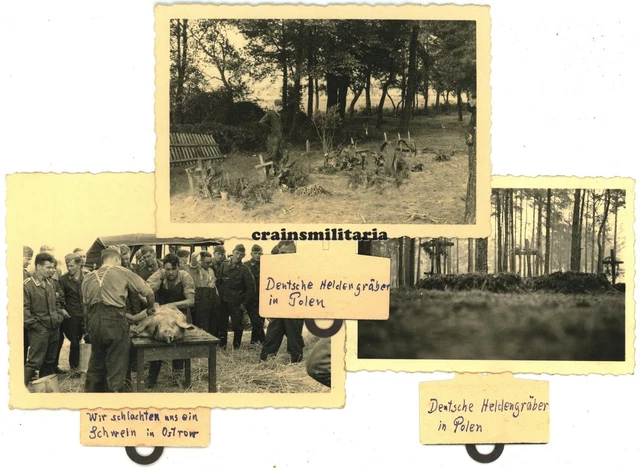 3x Orig. Foto Schlachtfest in OSTROW und Grab deutsche Soldaten in Polen 1939