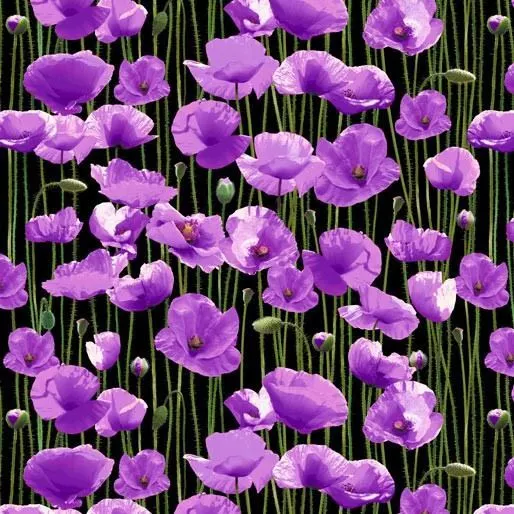 Animals of War Purple Poppies Black 108" Wide Backing Cotton Fabric 1/2 YARD