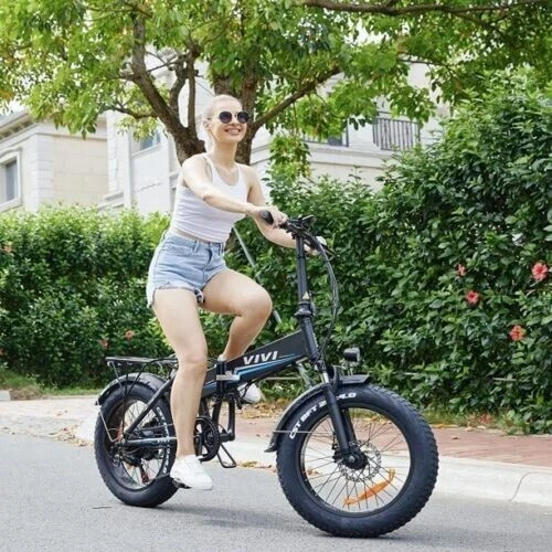 fat electric bicycle