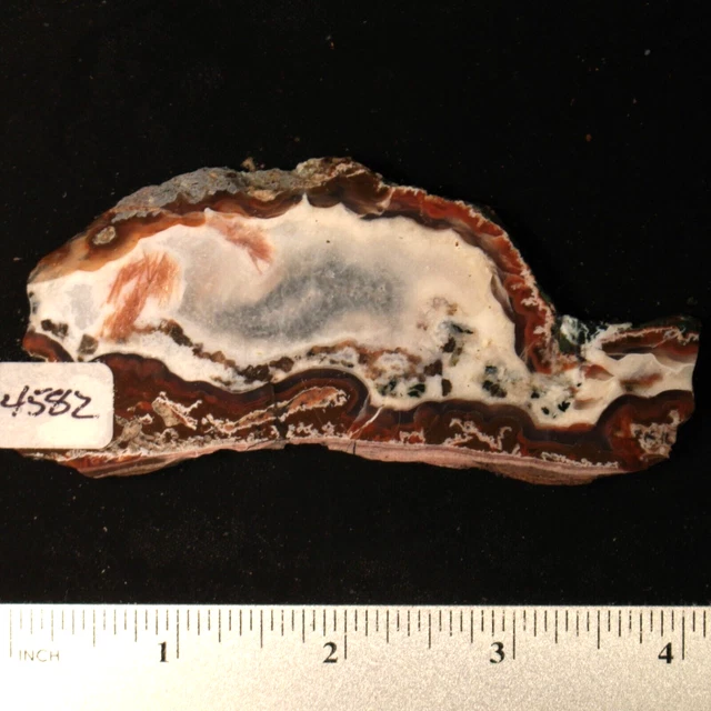 Raspberry Agate Lapidary Slab #4582