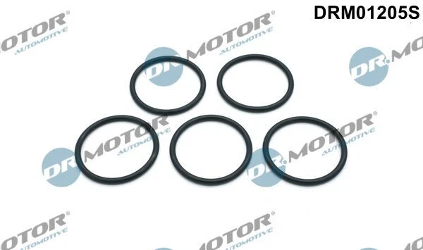 Dr.motor Automotive Drm01205s Set Guarnizioni Pompa Acqua per BMW E34 + E36 87-06