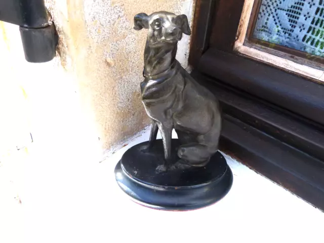 belle statuette 19ème en régule chien lévrier assis sur socle bois NAP III