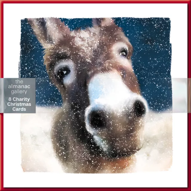 Pack of 8 A Christmas Donkey Charity Christmas Cards Multiple Charities
