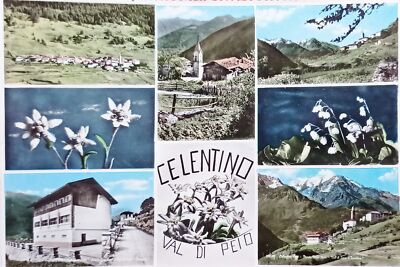 COGOLO IN VAL DI PEJO TRENTINO ALTO ADIGE TRENTO 1955 