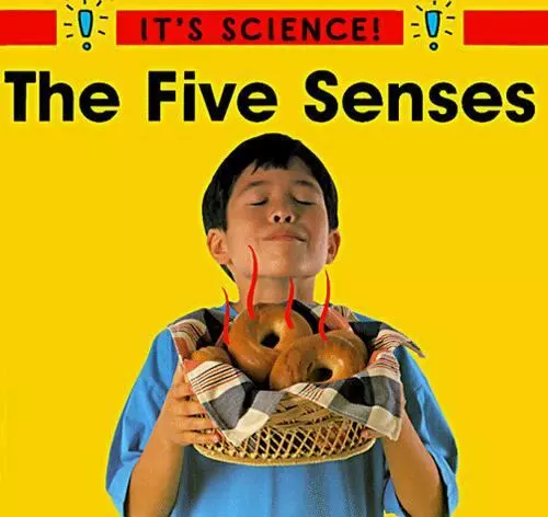 The Five Senses by Hewitt, Sally